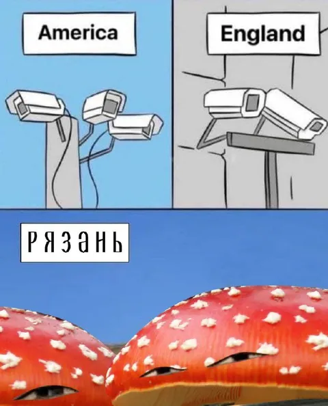 Рязань следит за всеми