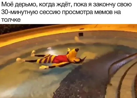 Моё дерьмо ждёт, пока я смотрю мемы