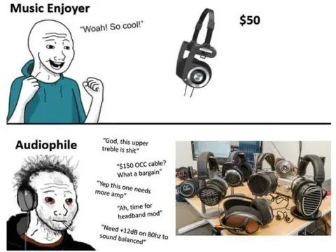 Music Enjoyer vs Audiophile