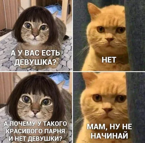 У тебя есть девушка?
