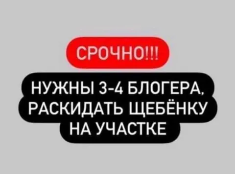 Срочно нужны блогеры