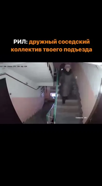 Дружный соседский коллектив