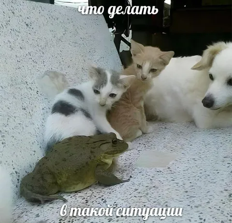 Что делать в такой ситуации