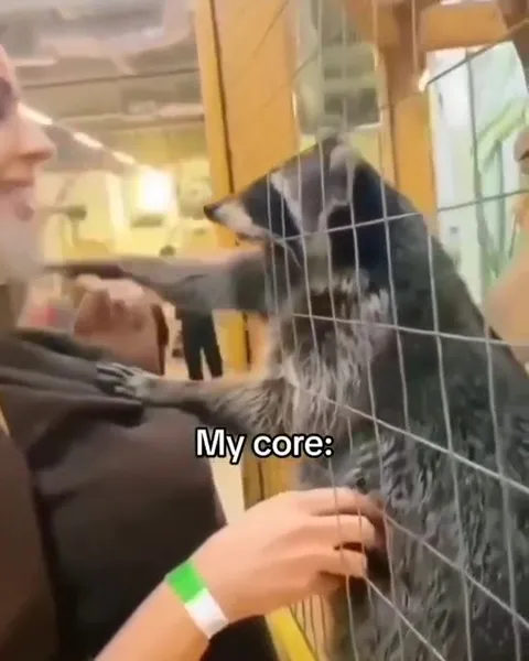 My Core Reaches Through the Fence