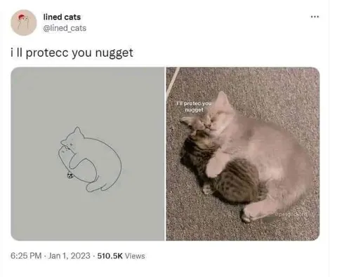 Cat Protects Nugget