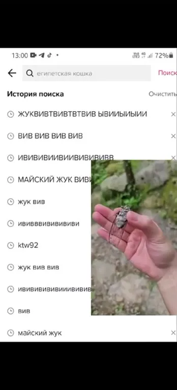 Ищу египетскую кошку, нахожу жука