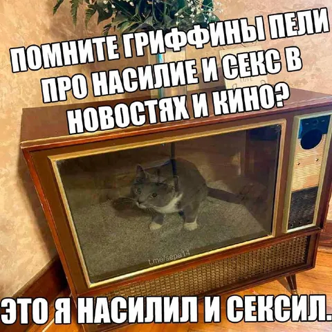 Кот в телевизоре про Гриффинов
