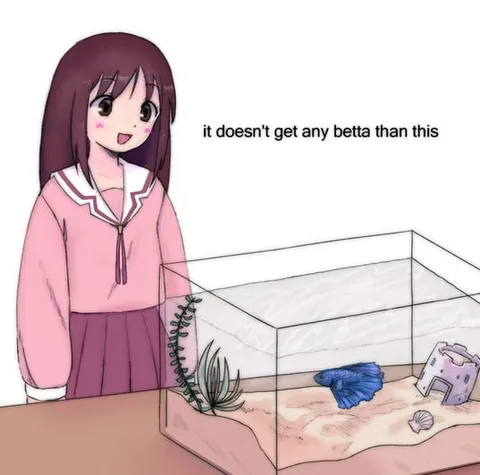 It Doesn’t Get Any Betta