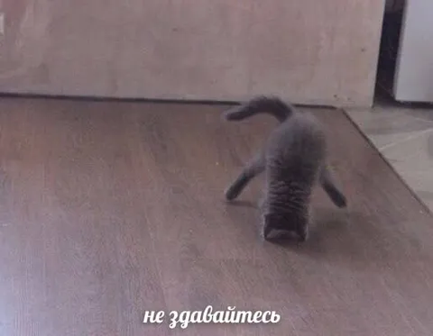 Не задавайтесь