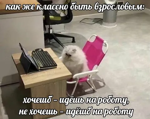 Как же классно быть взрослым