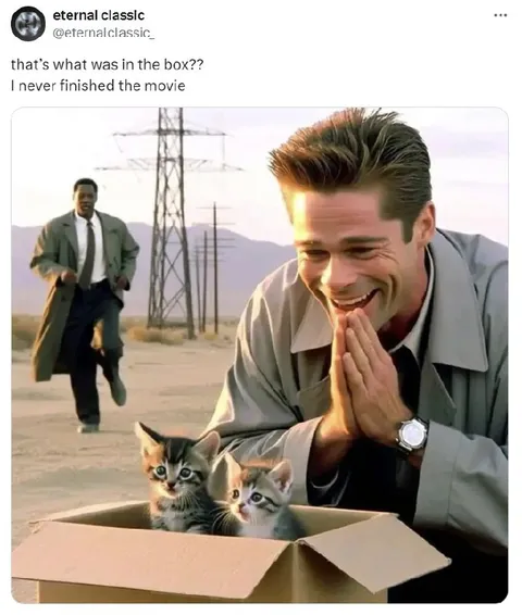 What Was in the Box?