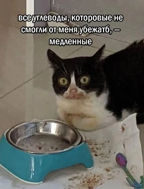 Медленные углеводы в миске