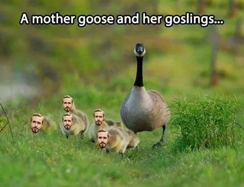 Mother Goose and Her Goslings