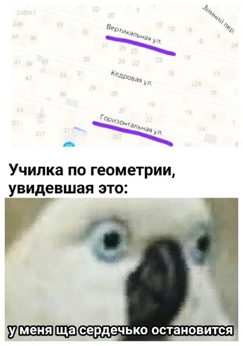 Училка увидела улицы