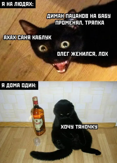 Я на людях и я дома один