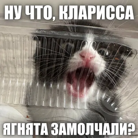 Ну что, Кларисса?