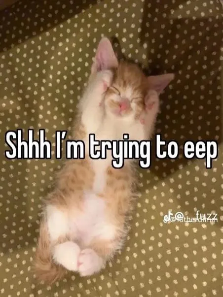 Kitten Trying to Eep