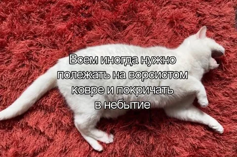 Полежать на ворсистом ковре