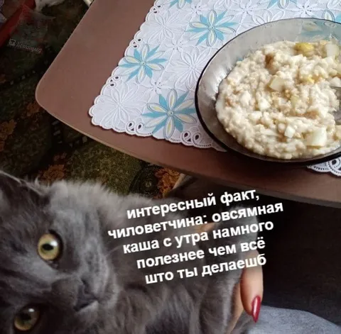 Овсянная каша полезнее всего