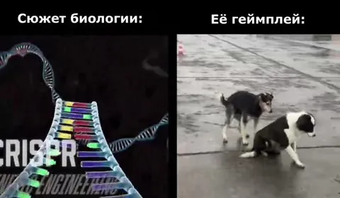 Сюжет биологии и её геймплей