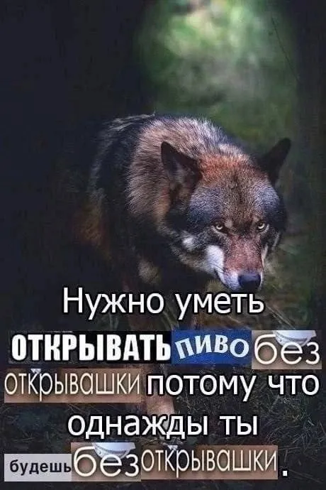 Пиво без открывашки