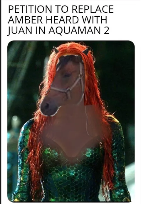 Replace Amber Heard With Juan