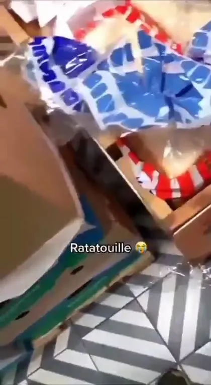 Ratatouille in the Boxes