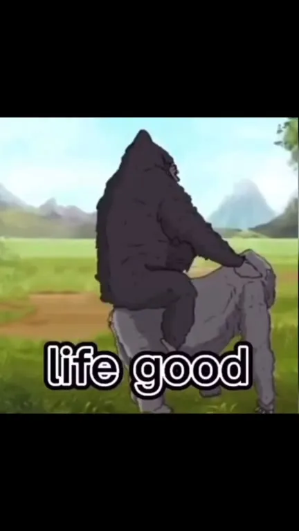 Gorilla Thinks About Wife