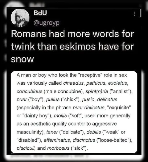 Romans Had Many Words for Twinks