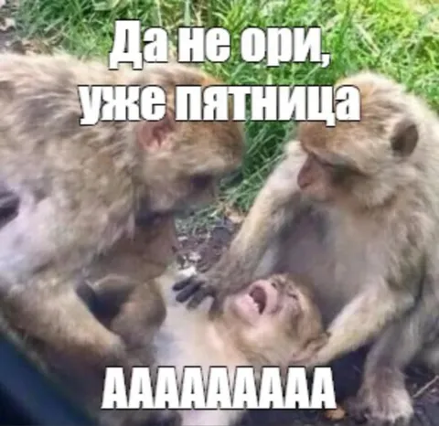 Уже пятница, не ори