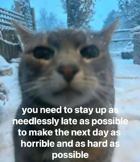 Stay Up and Ruin Tomorrow