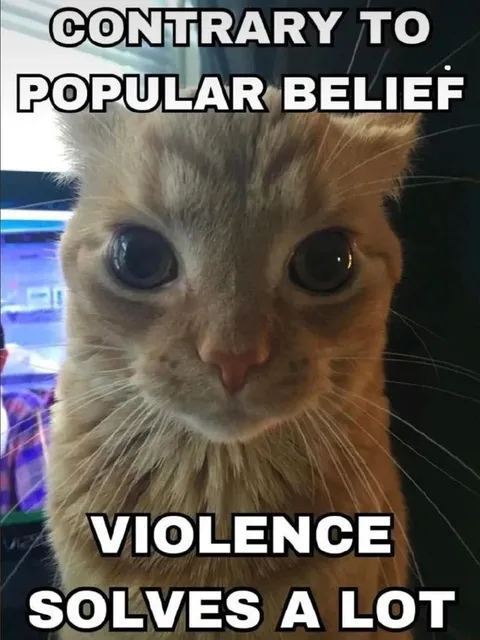 Violence Solves a Lot