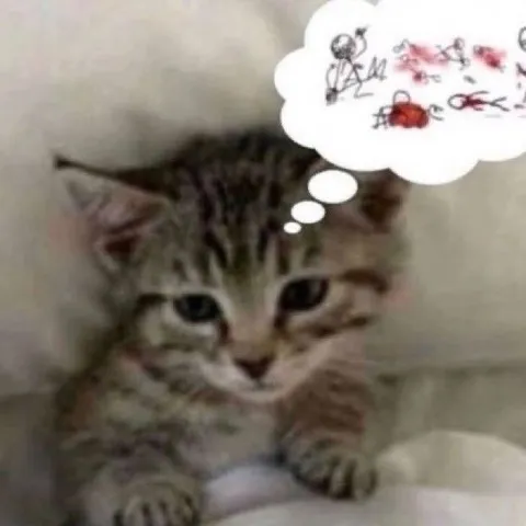Котёнок задумался