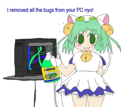 Removed All the Bugs From Your PC