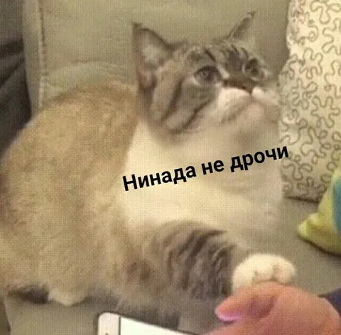Нинада не дрочи