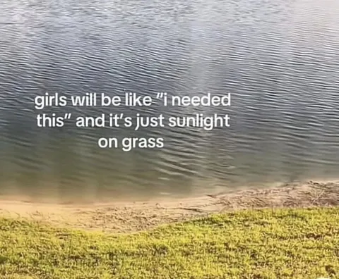 Sunlight on Grass