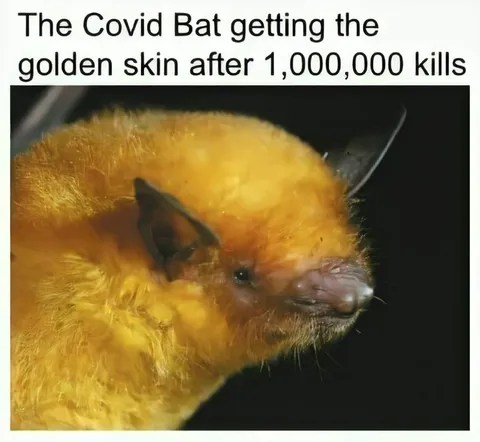Covid Bat Golden Skin