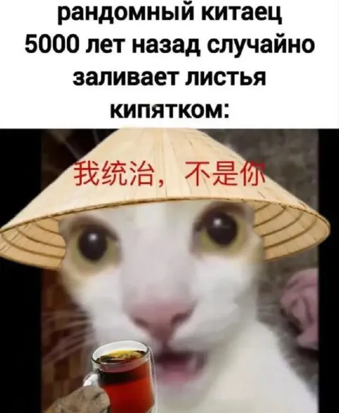 Китаец случайно заваривает чай