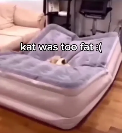 Kat Was Too Fat