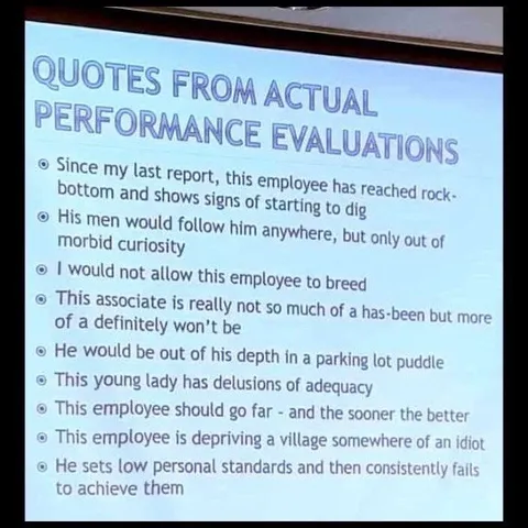 Quotes From Actual Performance Evaluations