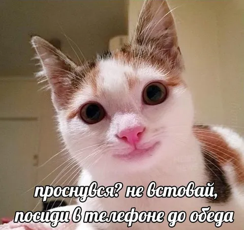 Не вставай до обеда