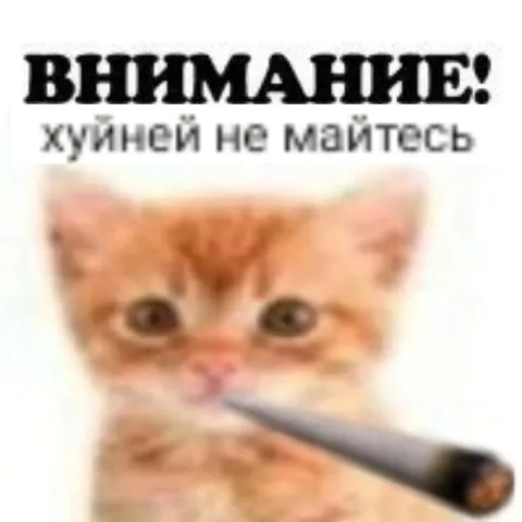 Внимание, хуйной не майтесь