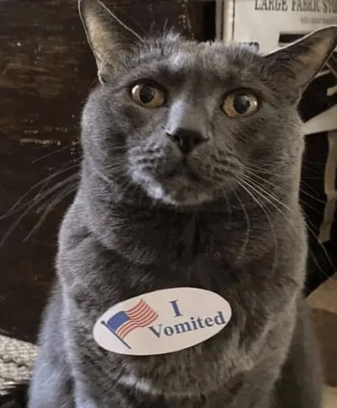 I Vomited Cat Sticker