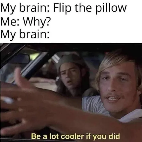Flip the Pillow