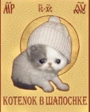 Котёнок в шапочке