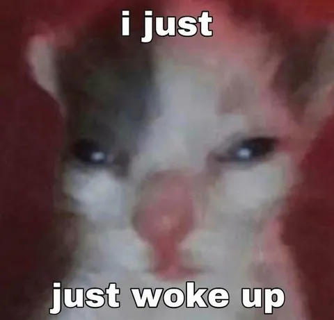 I Just Woke Up Clown