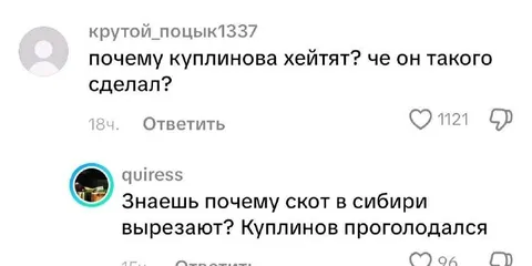 Почему Куплинова хейтят