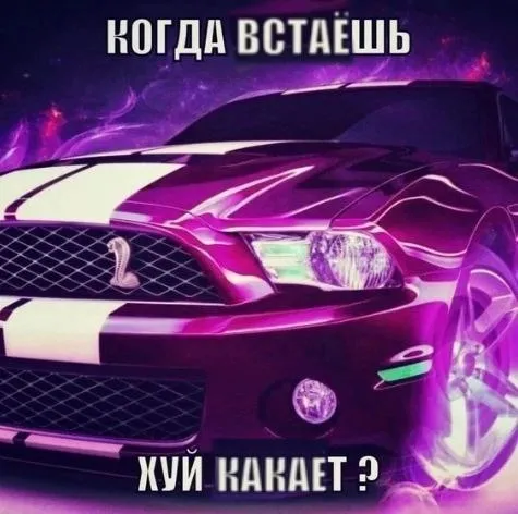 Когда встаёшь — хуй какает