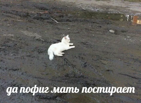 Да пофиг, мать постирает