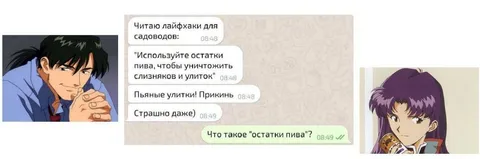 Что такое остатки пива